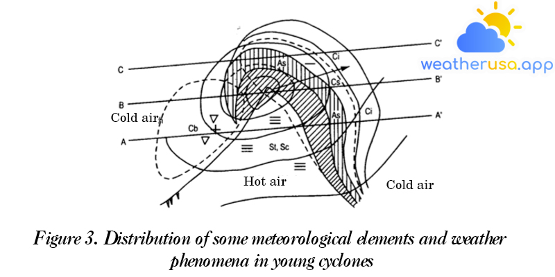 Figure 3. Distribution of some meteorological elements and weather phenomena in young cyclones