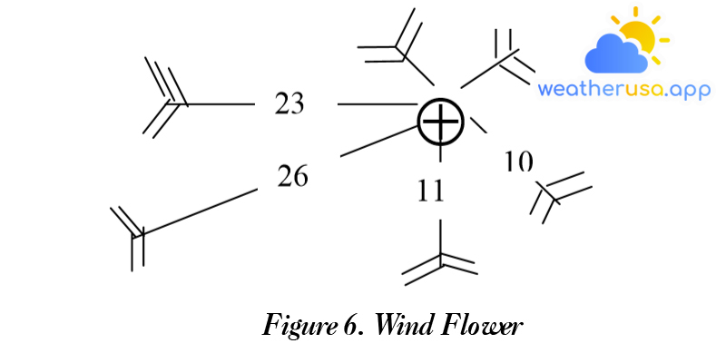 Figure 6. Wind Flower